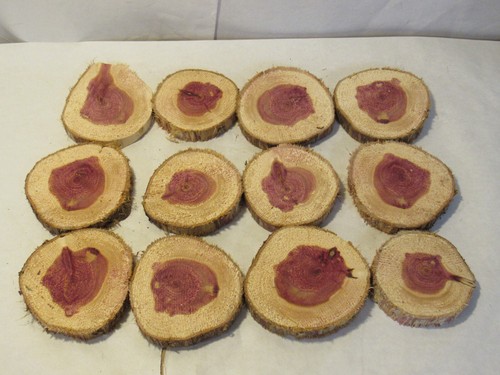 Aromatic red cedar slices - aromatic,